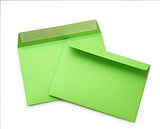 Briefumschlag ohne Fenster (Grün) DIN C4 ohne Fenster 229 x 324 mm 120g/m² haftklebend (410a)